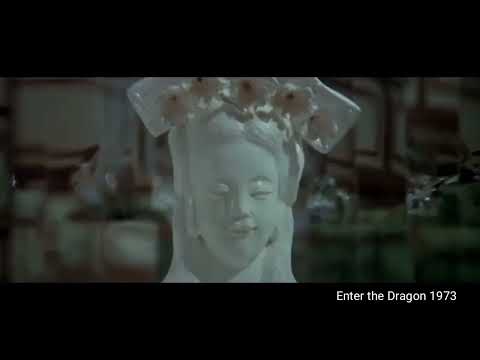 Dragon Bruce Lee Mr Burns St George Canary