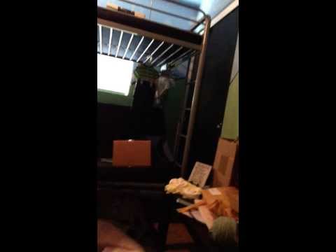 Jasper S Room
