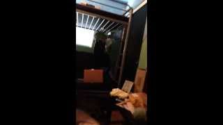 Jasper's Room