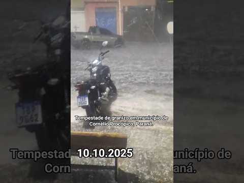 Tempestade de Granizo em Cornélio Procópico- Paraná #paraná #tempestade #youtubeshorts