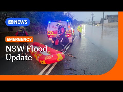 LIVE: NSW Premier Chris Minns and the SES deliver a flood update | ABC NEWS