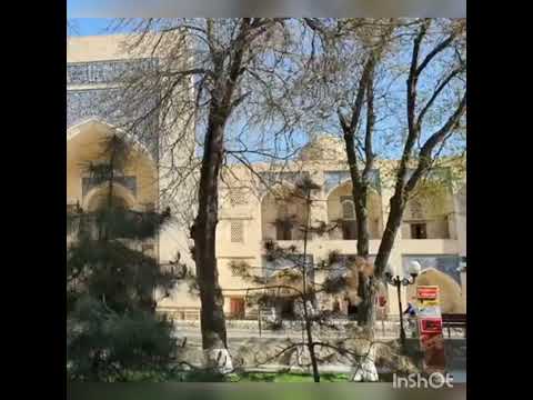 Lyabi Hauz | viagem de bonu por Bukhara