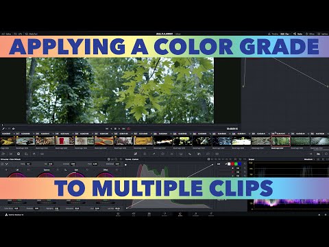 Tutorial: Applying The Same Color Grade To Multiple Clips In Resolve