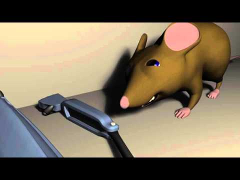 Shelf Life,  by James Sacchi