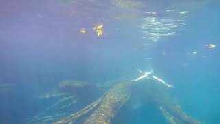 preview picture of video 'GO PRO SUMBER JENON /  AMATEUR FREE DIVER'