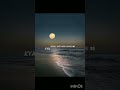 HUSN Lyrics Anuv Jain Aesthetic Status Video Whatsapp Status Video Trendingshorts