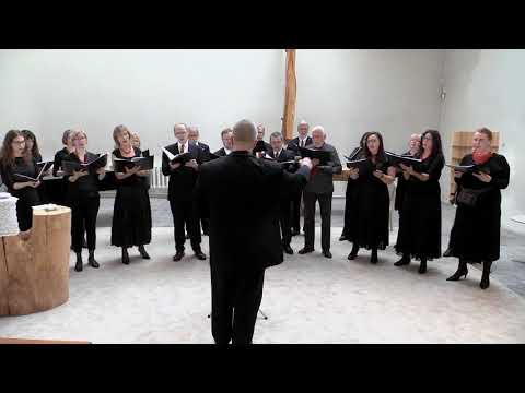 ERKI Chamber Choir - 'Teele, teele kurekesed'
