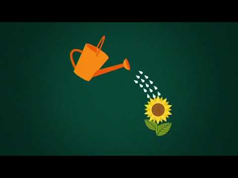 L'orto sull'albero   Parola di pollice verde