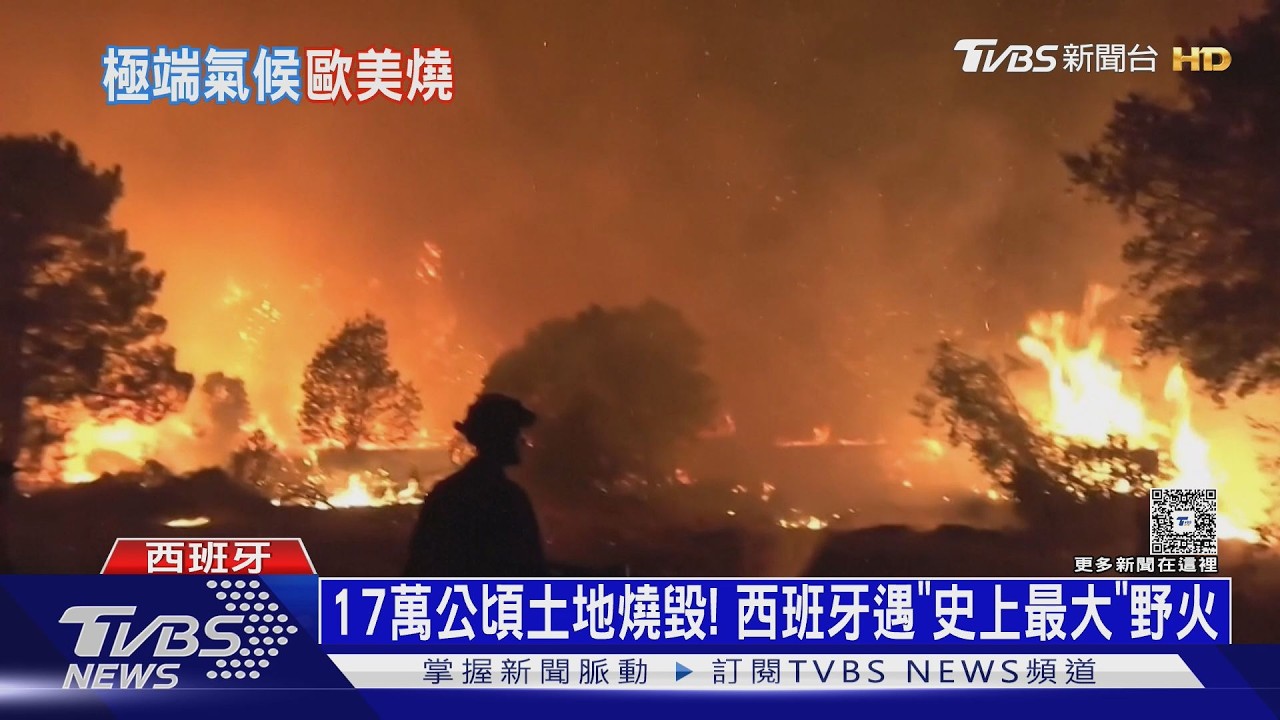 歐美狂燒!法國野火直撲核武重鎮 美西4消防員殉職