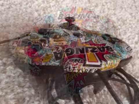 The epic Bazinga - Das epische Bazinga