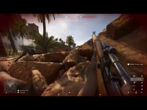 BFV TDM #1