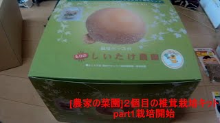 [農家の菜園]20/12/08 ２個目の栽培キットpart1 栽培開始　[家庭菜園]