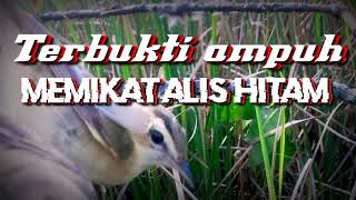 Download lagu SUARA PIKAT BURUNG KERAK BASI ALIS HITAM DAN KECICI BELALANG mp3 Download lagu SUARA PIKAT BURUNG KERAK BASI ALIS HITAM DAN KECICI BELALANG mp3