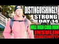 DISTINGUISHINGLY STRONG DAY 14 | WILL HIGH CARBS RUIN INSULIN SENSITIVITY | TRAINEDBYJP CLIENT