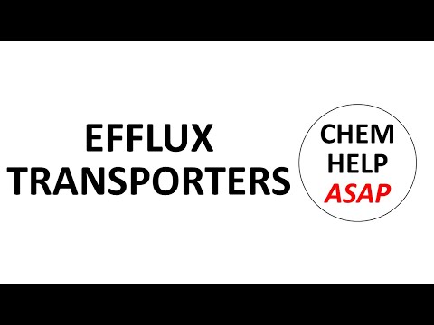 gut metabolism & efflux transporters