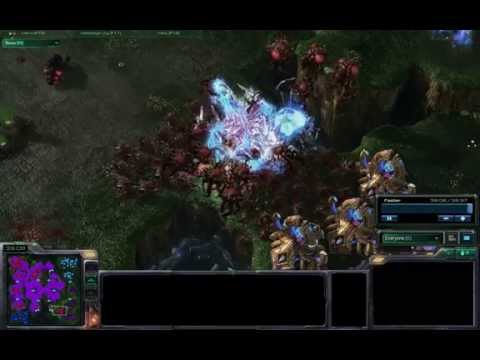 Starcraft 2 - How to stop mass protoss air as zerg