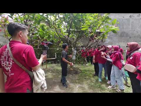 Belajar Mengenai Coklat Di Kebun Coklat Pod Chocolate Junglegold Factory | Outbond SCMA & Magic