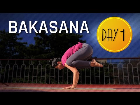 Day 1 of 4 days Bakasana Practice | How to practice Crow Pose| Yoga For Beginners