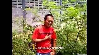 Download lagu Mansyur S - Jangan Pura Pura / Andi Purwadi mp3