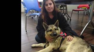 Download lagu Remembering Miss Comet, 2004-2019 mp3