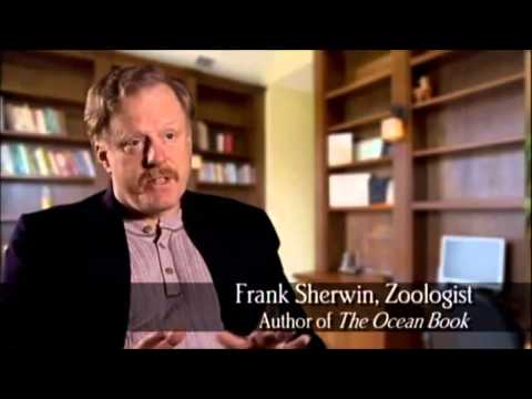 God of Wonders   Documentary full length watch in HD & HQ