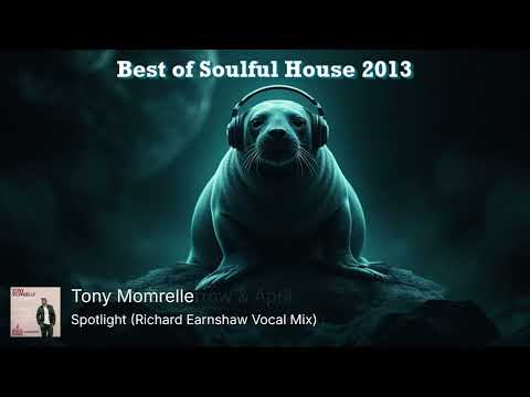 DJ Rimiks - Soulful House Year Mix 2013