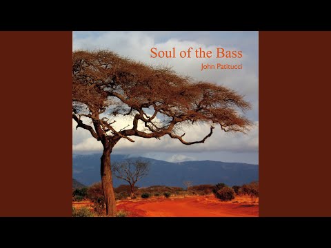Soul Of The Bass online metal music video by JOHN PATITUCCI
