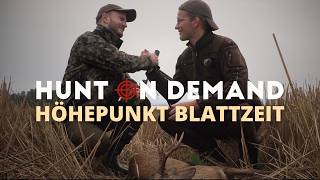 Höhepunkt Blattzeit in Mecklenburg Vorpommern 🌿 Teil 2 von @jagdkrone