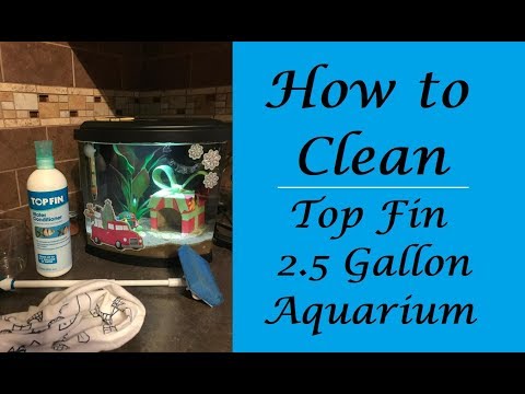 How to: Clean the Top Fin 2.5 Gallon Imagine Aquarium