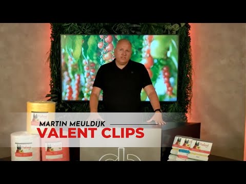 Valent Clips | All the advantages