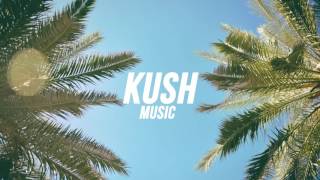 Naomi Pilgrim - Sink Like A Stone (Eau Claire Remix)