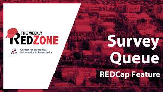 Survey Queue