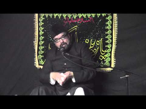 Moulana Abid Bilgrami - Shahadat of Bibi Zainab (sa) - Safar 25, 1435 - 12/28/13