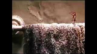 Groovy Little Hippie Pad