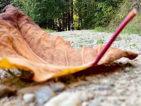 Goldsteig Wanderweg - back on the  start