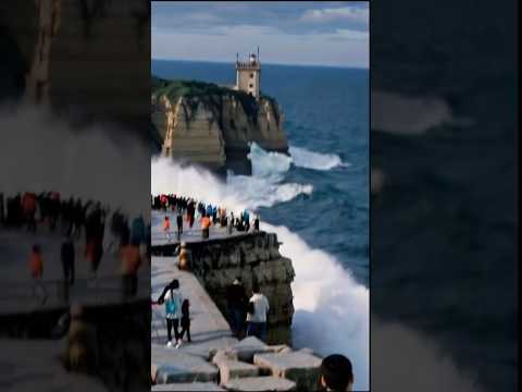 From Fun to Fear🌊