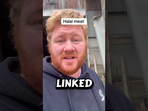 Halal Meat: The Truth Uncovered in 90 Seconds