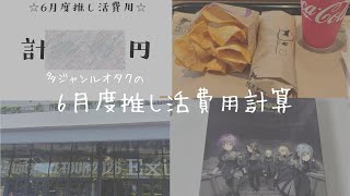多ジャンルオタクの6月の推し活費用を大公開💸｜意外と抑えめ？それとも使いすぎ？｜おまけに没動画も
