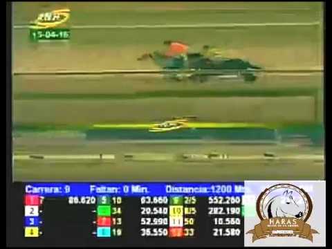 VALENCIA 9 CARRERA, VIERNES 15 DE ABRIL DEL 2016