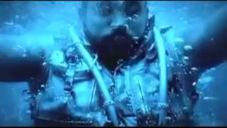 Don Omar Chequea Como Se Menea Virtual Diva