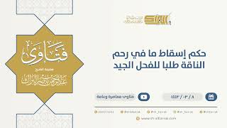 صورة حكم إسقاط ما في رحم الناقة طلبا للفحل الجيد - الشيخ عبدالرحمن البراك  (9708)