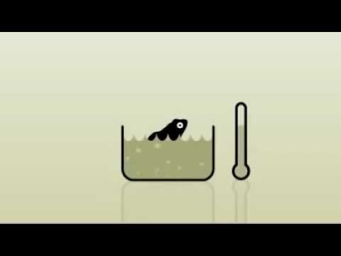 Wie der Frosch im heissen Wasser