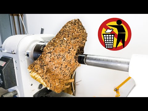 Die Maserknolle - Bitte Nicht Wegschmeißen!