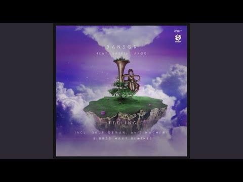 Feeling (feat. Saskia Laroo) (Onur Ozman Remix)