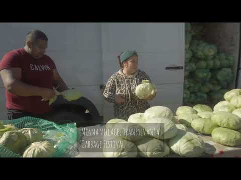Cabbage festival in #Mosna Saxon village