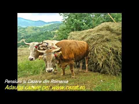 Cazare Crangurile de Sus, Dambovita - Cazat.ro