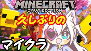 【Minecraft】久しぶりのマインクラフト初めから！010【VTuber】