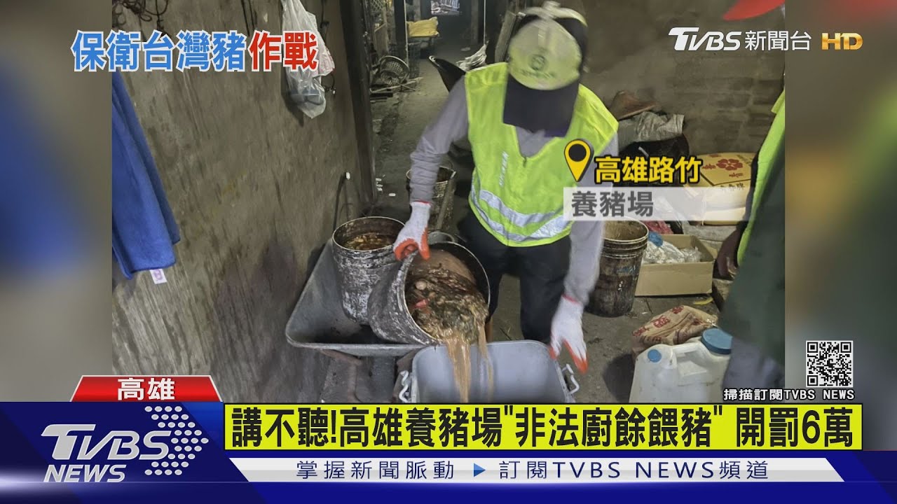 講不聽!高雄路竹養豬場「非法廚餘餵豬」 遭罰6萬