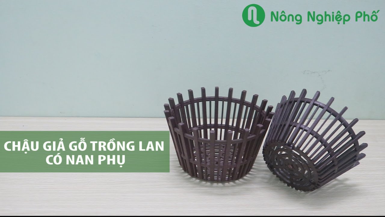 Chậu giả gỗ trồng lan có nan phụ