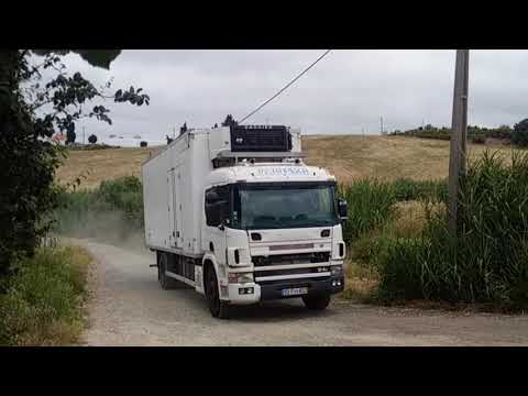 Britannia Export - RECENTLY SOLD: Left hand drive Scania P 94L 310 19 ton refrigerated box lorry.